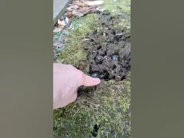 'Video thumbnail for Frost Heave Example #frostheave #frost #frostdamage #askthebuilder #timcarter'