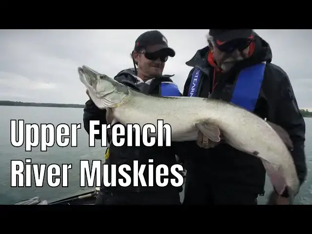 'Video thumbnail for Giant Upper French River Muskies | Fish'n Canada'