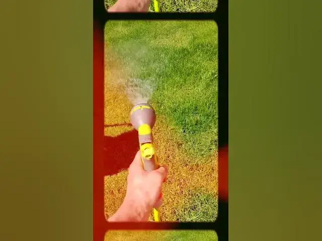 'Video thumbnail for 🌿 DIY Guide: Changing a Garden Hose Connector for Efficient Watering'