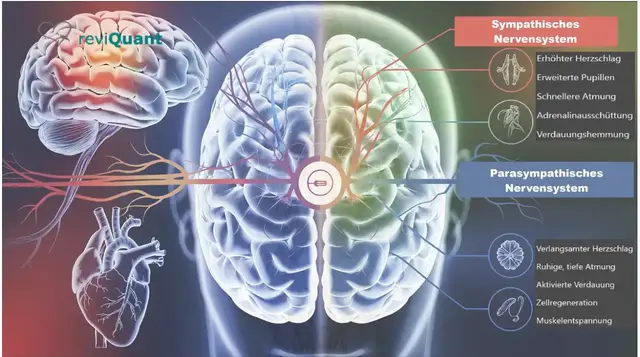 'Video thumbnail for reviQuant KonstANS Bioregulationsanalyse'