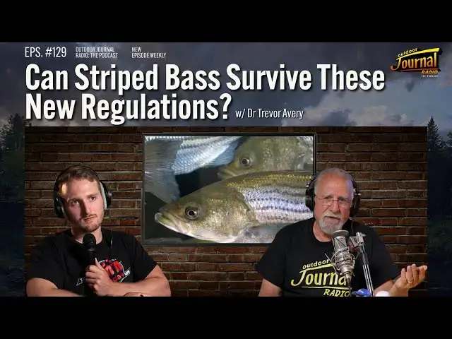 'Video thumbnail for Can Striped Bass Survive These New Regulations? | Outdoor Journal Radio ep. 129'
