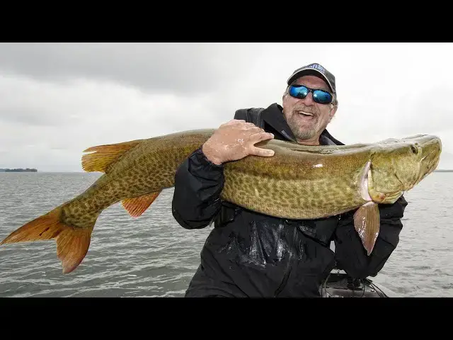 'Video thumbnail for Canadian Giant Muskie Fishing!'