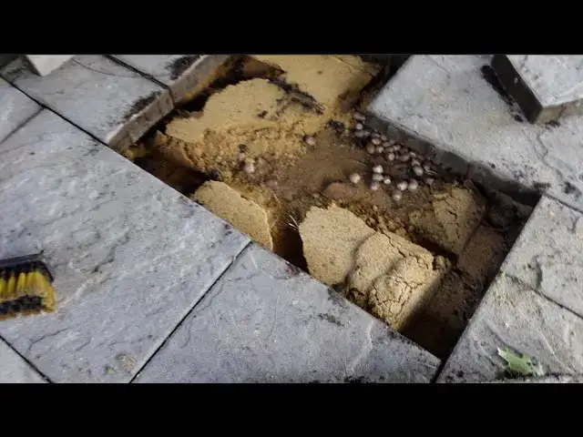 'Video thumbnail for Fix Pavers Uneven'
