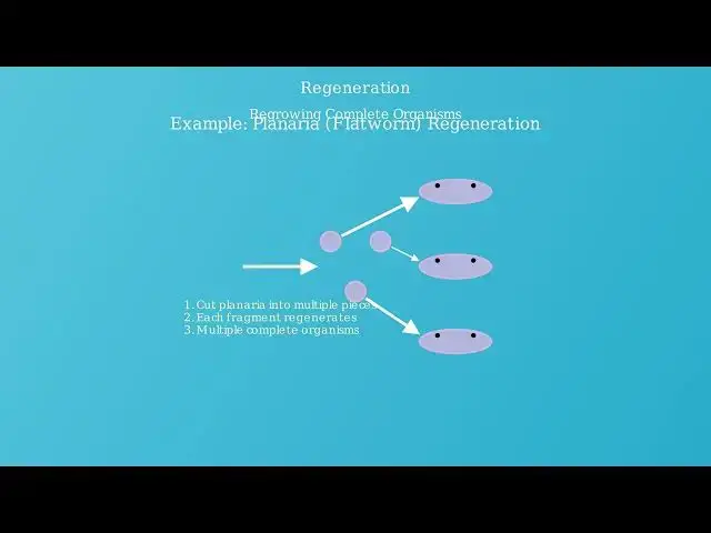 'Video thumbnail for Asexual Reproduction – Definition, Types, Advantages, Examples'