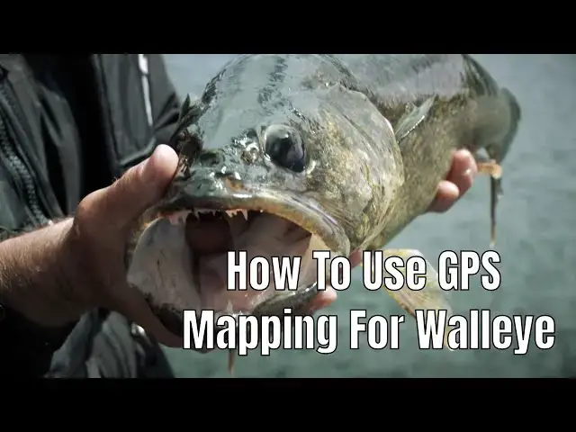 'Video thumbnail for How To Use GPS Mapping for Walleye | Fish'n Canada'