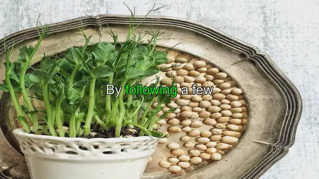 'Video thumbnail for Ultimate Guide: Storing Microgreens and Sprouts for Longevity'