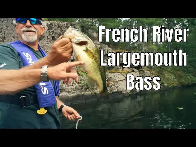 'Video thumbnail for Catching Largemouth Bass on Ontario’s French River | Fish'n Canada'