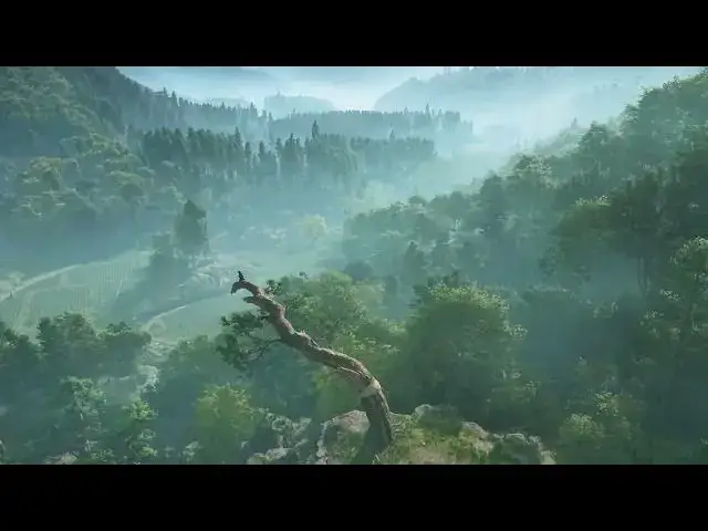 'Video thumbnail for Assassins Creed Shadows - Synchronize Tejikara Vista In Iga Otagi Pass Gameplay'