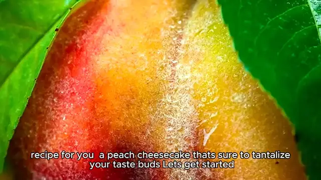 'Video thumbnail for Peach cheesecake Recipe'
