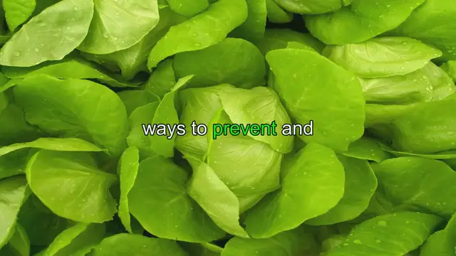 'Video thumbnail for Ultimate Guide to Preventing and Treating Pests and Diseases in Your Hydroponic Garden'